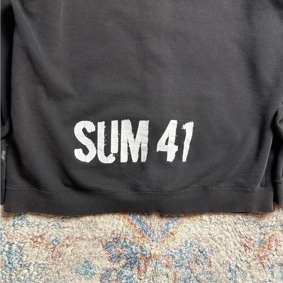 Vintage Sum-41 Hero Band Zip-up Hoodie Large - Picture 5 of 5